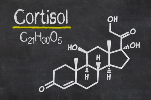 Slate with the chemical formula of cortisol