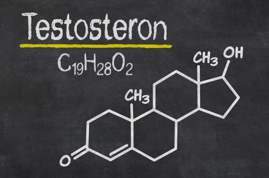 Slate with the chemical formula of testosterone