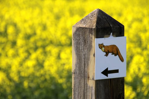 Wegwesier Marderwanderweg Alverdissen