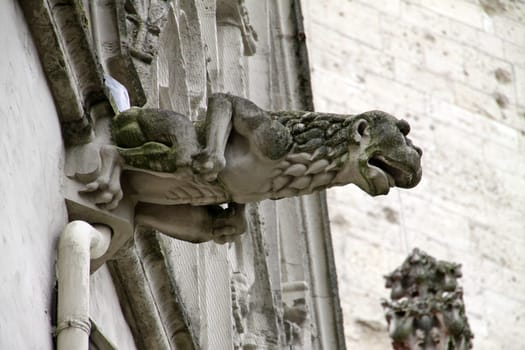 St. Andreas In Brunswick (water gargoyles)