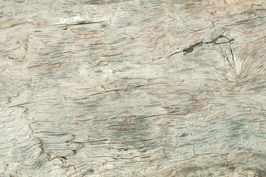 Dry weathered wood surface structure closeup as background