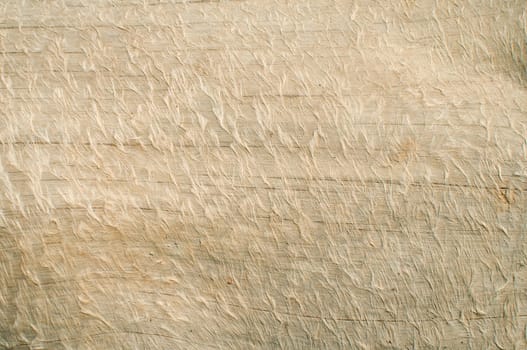 Dry weathered wood surface structure closeup as background