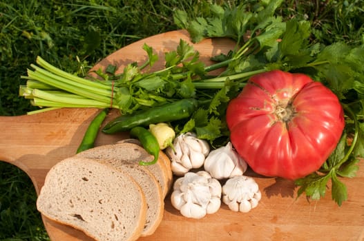 Organic tomato, celery, cloves of garlic, chili peppers and bread slices on wooden board on green grass backgound
