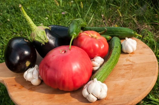Organic tomatoes, cucumbers, garlic cloves and eggplants on wooden board and grass background