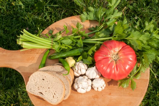 Organic tomato, celery, cloves of garlic, chili peppers and bread slices on wooden board on green grass backgound