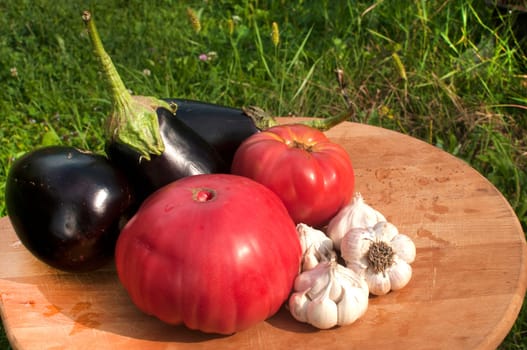 Organic tomatoes, garlic cloves and eggplants on wooden board and grass background