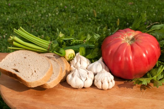 Organic tomato, celery, cloves of garlic, chili peppers and bread slices on wooden board on green grass backgound