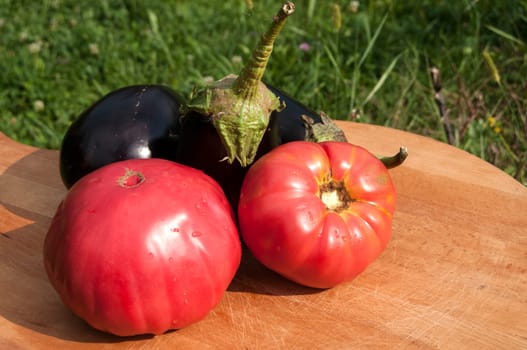 Organic tomatoes and eggplants on wooden board backgound