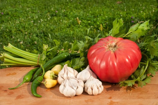 Organic tomato, celery, cloves of garlic and chili peppers on wooden board on green grass backgound