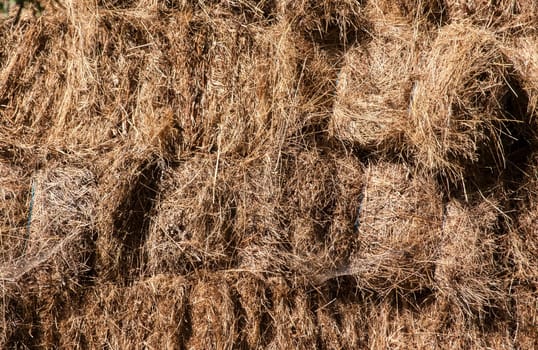 Stacked dry hay bales closeup as background