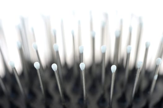 A close up shot of a dogs grooming brush