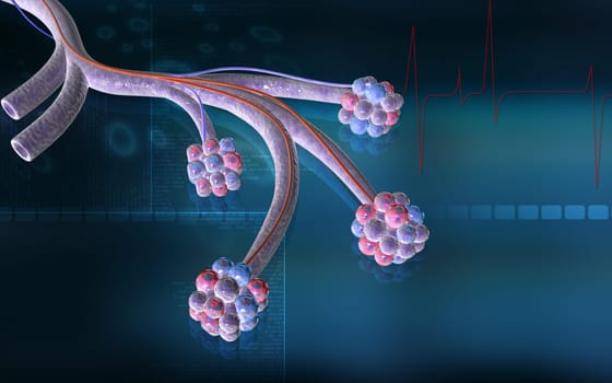 Digital illustration of alveoli in colour background