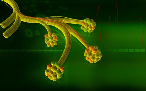 Digital illustration of alveoli in colour background