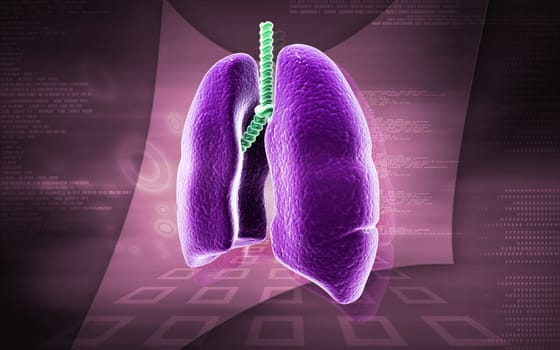Digital illustration of human lungs in colour background