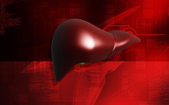 Digital illustration of liver in colour background