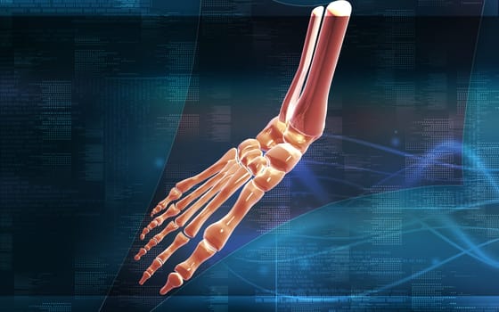 Digital illustration of hand bone in colour background