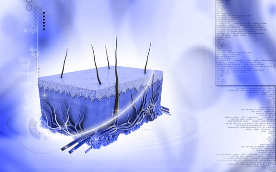 Digital illustration of Skin in colour background