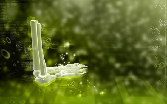Digital illustration of Leg bone in colour background
