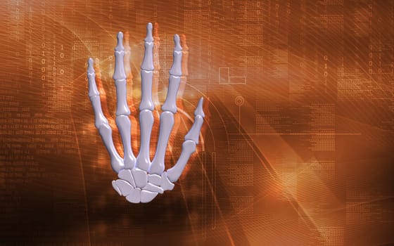 Digital illustration of hand bone in colour background