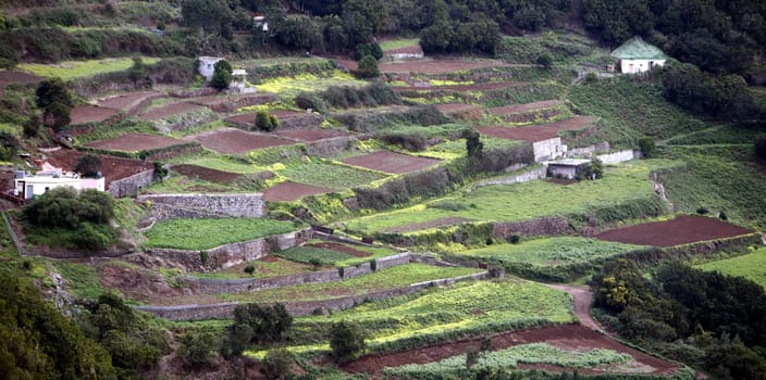 The Montanas de Anaga in the northeast of the Island of Tenerife on the Islands of Canary Islands of Spain in the Atlantic.