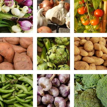 Nine pictures with vegetables
