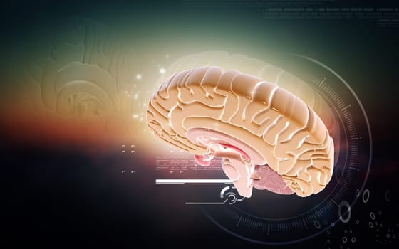 Digital illustration of brain in colour background