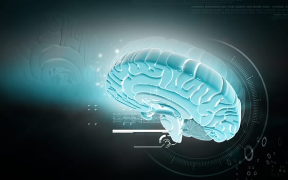 Digital illustration of brain in colour background