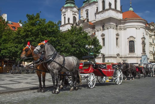 Horse-drawn carriage ready for tourists. (Old Town Square, Prague, Czech Republic.) All  potential trademarks are removed.