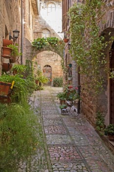 Romantic street decorated with plants in the historic Italian city. (Spello, Umbria, Italy.)
