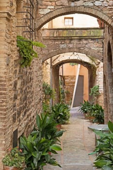 Romantic street decorated with plants in the historic Italian city. (Spello, Umbria, Italy.)