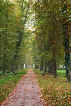 Footpath  in autumn park lined with benches. Closed gate at the end of the path. The alley of deciduous trees.