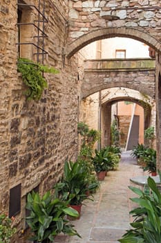 Romantic street decorated with plants in the historic Italian city. (Spello, Umbria, Italy.)