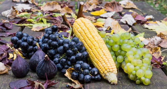 fruits of autumn