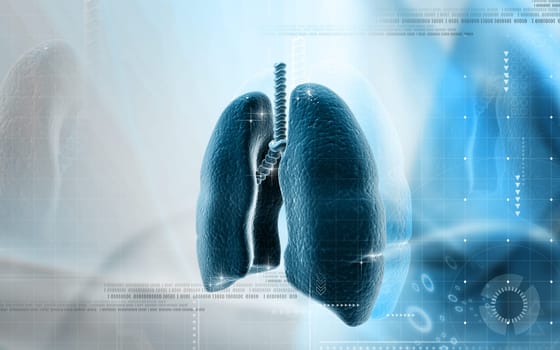 Digital illustration of human lungs in colour background