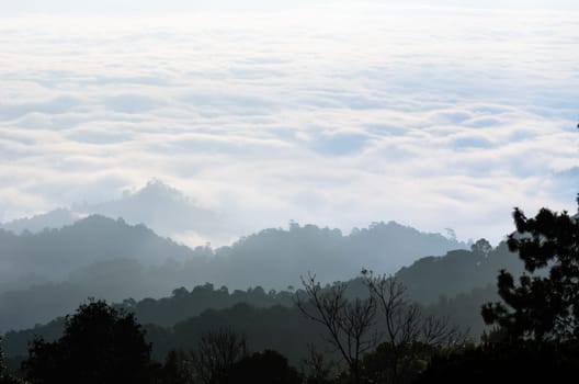 Landscape of cloud above cordillera in the morning from high mountain at viewpoint Huai Nam Dang national park, Chiang Mai and Mae Hong Son province, Thailand