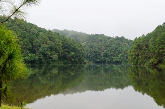 Nature landscape at dawn of lakes and pine forests in Pang Ung national park of Mae Hong Son province, Thailand