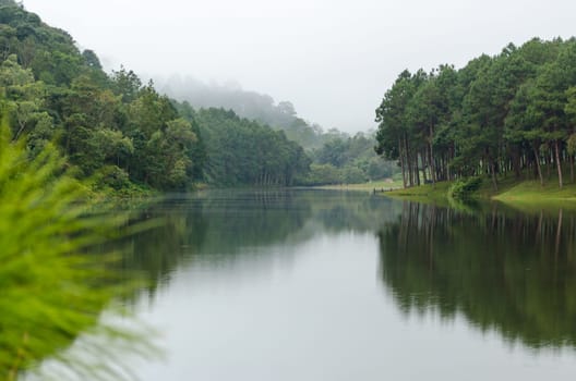 Nature landscape at dawn of lakes and pine forests in Pang Ung national park of Mae Hong Son province, Thailand