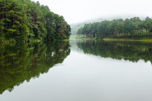 Nature landscape at dawn of lakes and pine forests in Pang Ung national park of Mae Hong Son province, Thailand