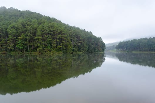Nature landscape at dawn of lakes and pine forests in Pang Ung national park of Mae Hong Son province, Thailand