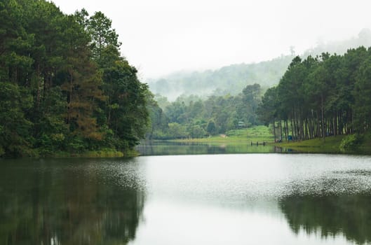 Nature landscape at morning of lakes and pine forests in Pang Ung national park of Mae Hong Son province, Thailand