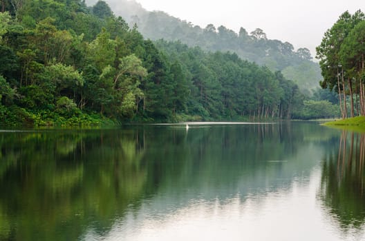 Nature landscape at morning of lakes and pine forests in Pang Ung national park of Mae Hong Son province, Thailand