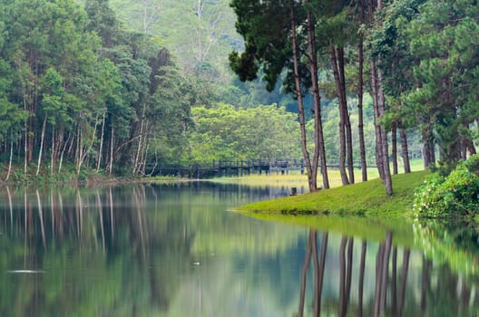 Nature landscape at morning of lakes and pine forests in Pang Ung national park of Mae Hong Son province, Thailand