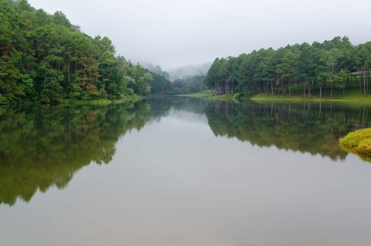Nature landscape at dawn of lakes and pine forests in Pang Ung national park of Mae Hong Son province, Thailand