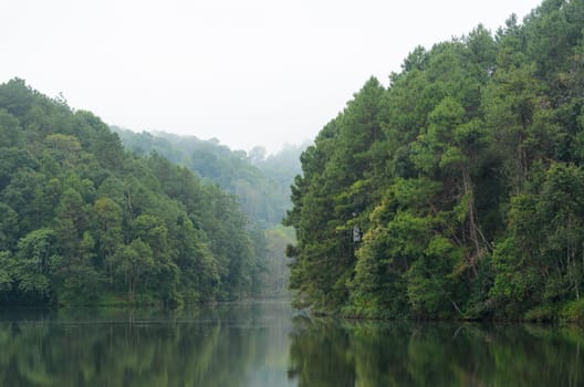 Nature landscape at morning of lakes and pine forests in Pang Ung national park of Mae Hong Son province, Thailand