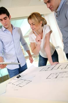 Group of architects working in office
