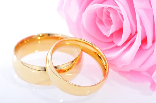 Two gold rings in red rose on a white background