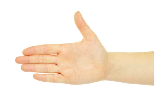 hand isolated on a white