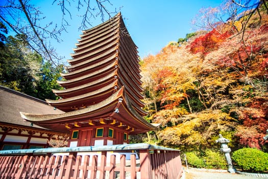 Tanzan Shrine at fall for adv or others purpose use
