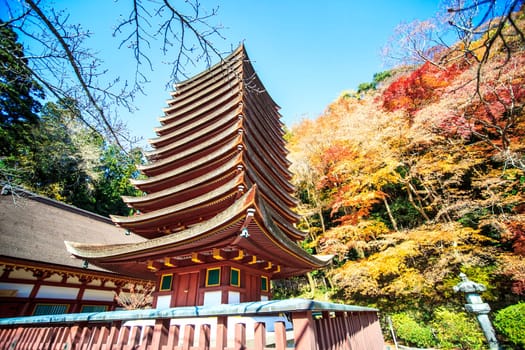 Tanzan Shrine at fall for adv or others purpose use
