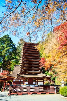 Tanzan Shrine at fall for adv or others purpose use